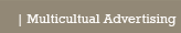 Multicultural Advertising